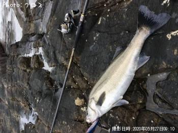 �����Х�