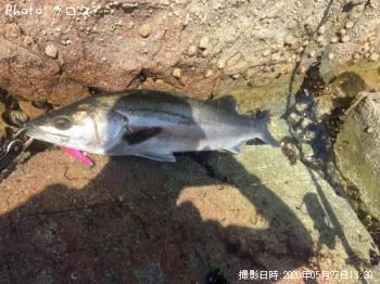 �����Х�