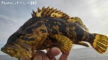 �����Υ���Х�