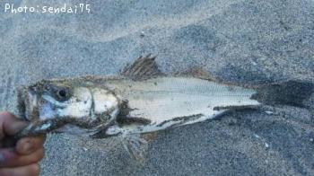 �����Х�