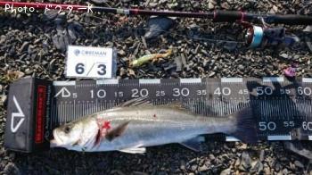 �����Х�