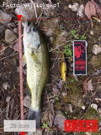 �֥�å��Х�