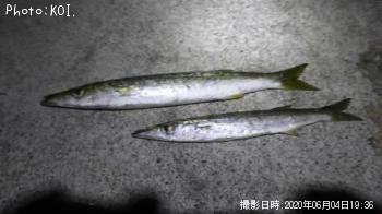 ��饽��