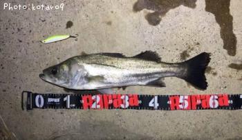 �����Х�