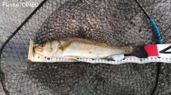 �����Х�