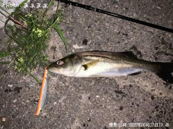 �����Х�