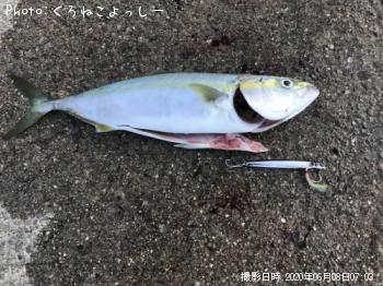 �䥺