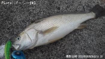 �����ȥ�������ȥҥ��