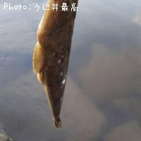 �ޥ���