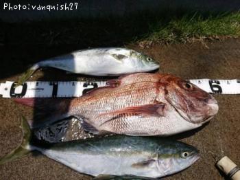 ¿¿Âä¡õ¥¤¥Ê¥À