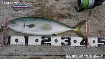 ���ʥ�������