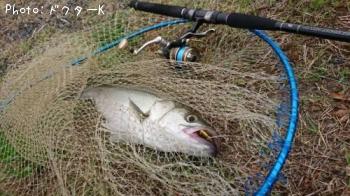 �����Х�