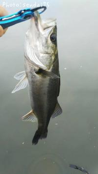 �����Х�