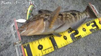 �����ʥ�