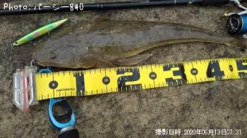 �����ʥ�