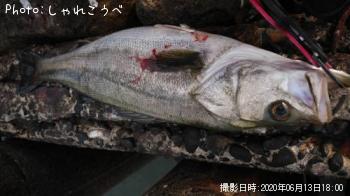 �����Х�