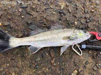 �����Х�