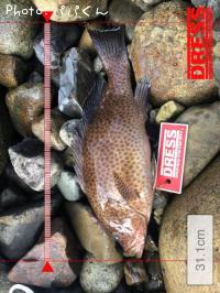 ¥ª¥ª¥â¥ó¥Ï¥¿