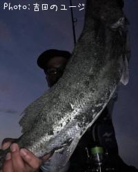 �����Х�