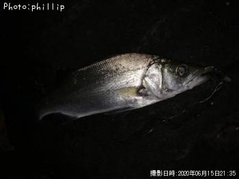 �����Х�