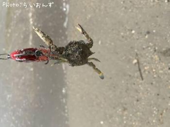 ¥ï¥¿¥ê¥¬¥Ë