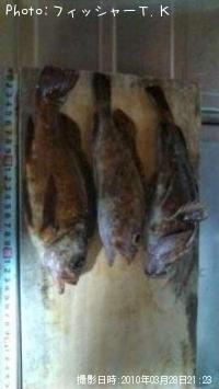 ¥á¥Ð¥ë¡¢¥Û¥´