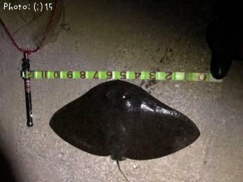 �ĥХ�������