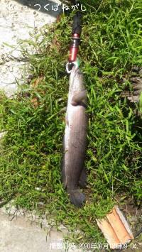 ��̳����ʥ��ȥ饤�ץɥ��͡����إåɡ�