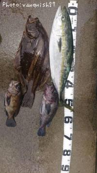 �ҥ������ʥ�