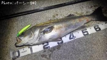 �����Х�