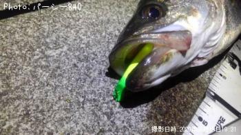 �����Х�