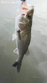 �����Х�