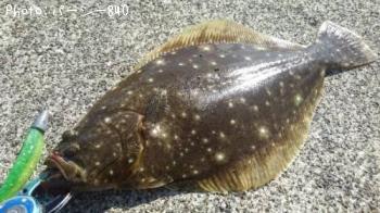 �ҥ��ʥ�����