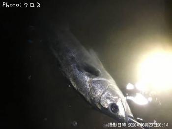 �����Х�