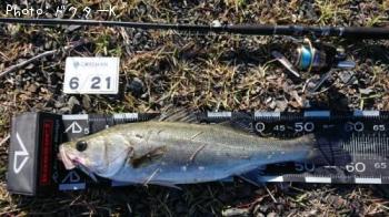 �����Х�