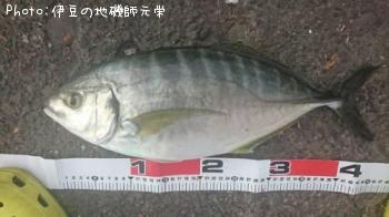 ���ޥ���