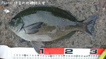 ���ޥ���