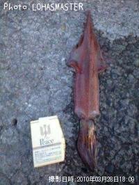 ����ᥤ��