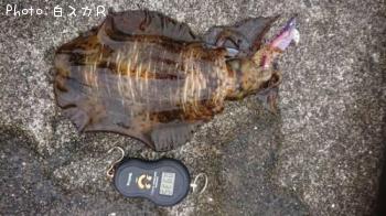 �����ꥤ��