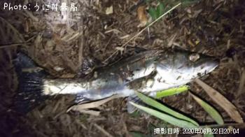 �����Х�