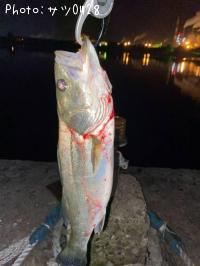 �����Х�