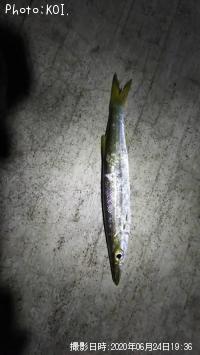 �����Х�