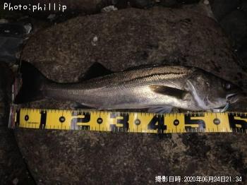 �����Х�