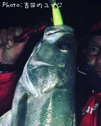 �����Х�