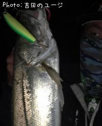 �����Х�