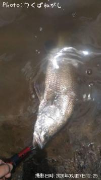 Äà²Ì³¤³°¡Ê¥Ð¥é¥Þ¥ó¥Ç¥£¡Ë