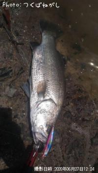 Äà²Ì³¤³°¡Ê¥Ð¥é¥Þ¥ó¥Ç¥£¡Ë