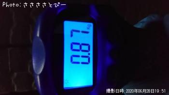 ¥¿¥³