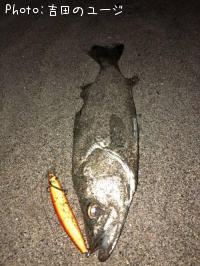 �����Х�