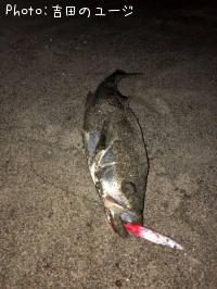 �����Х�